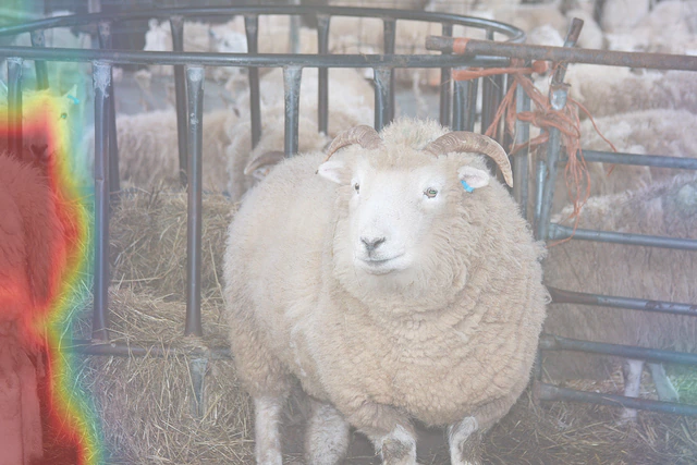 Top Visual Retrieval Head attention for the sheep grounding example.