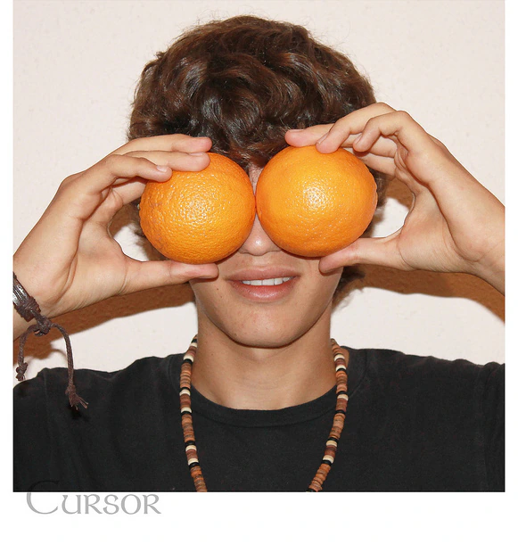 Input image for the orange grounding example.