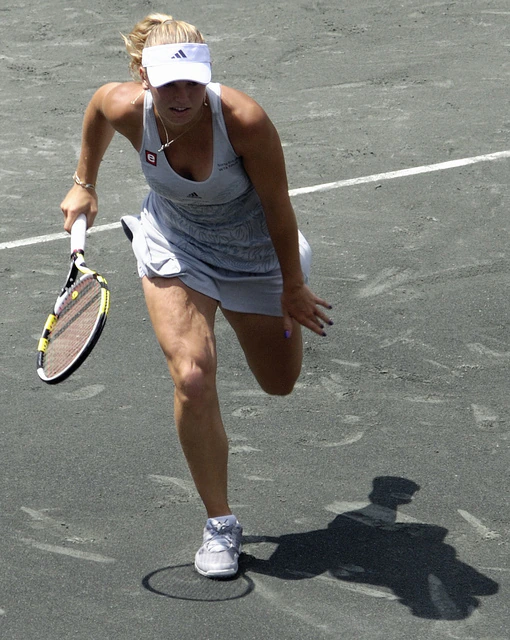 Input image for the tennis grounding example.