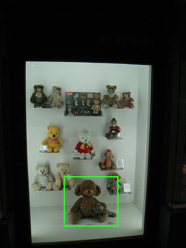 Input image for the bear-color question.
